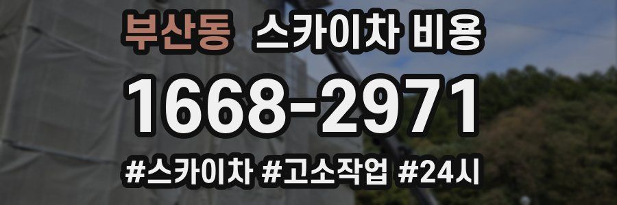 부산동 스카이차 비용