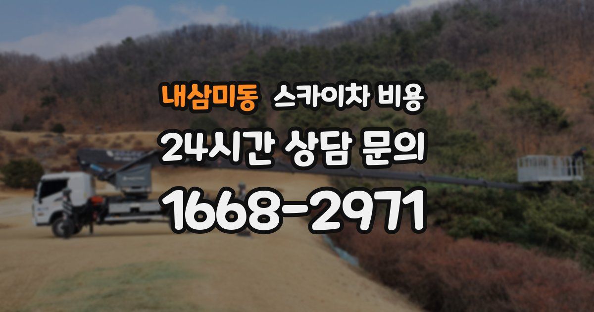 내삼미동 스카이차 비용