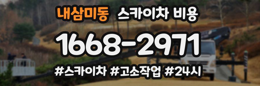 내삼미동 스카이차 비용