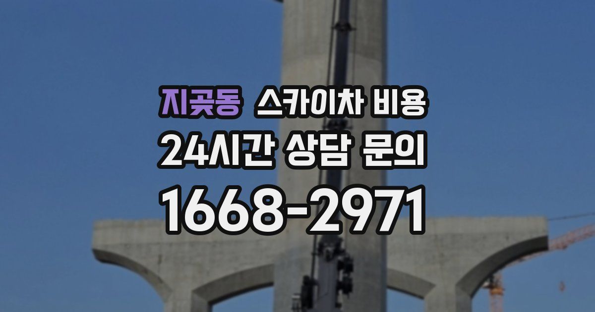 지곶동 스카이차 비용