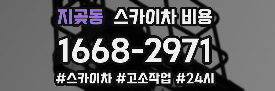 지곶동 스카이차 비용