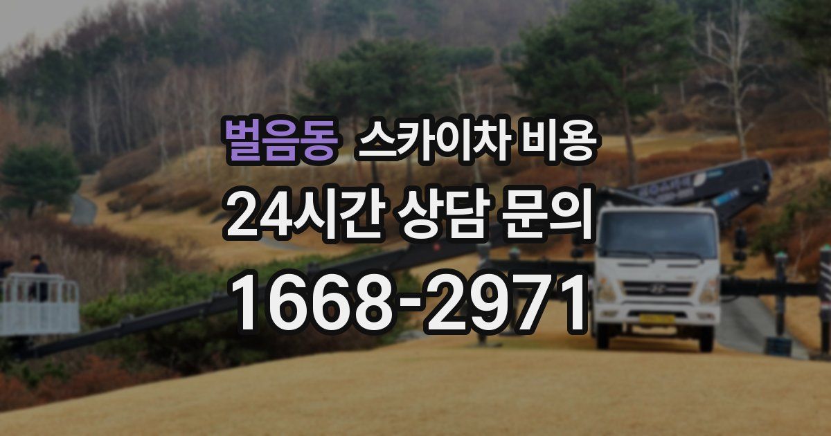 벌음동 스카이차 비용