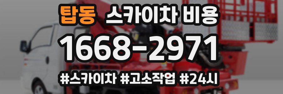 탑동 스카이차 비용