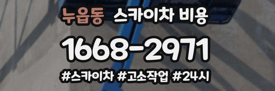 누읍동 스카이차 비용