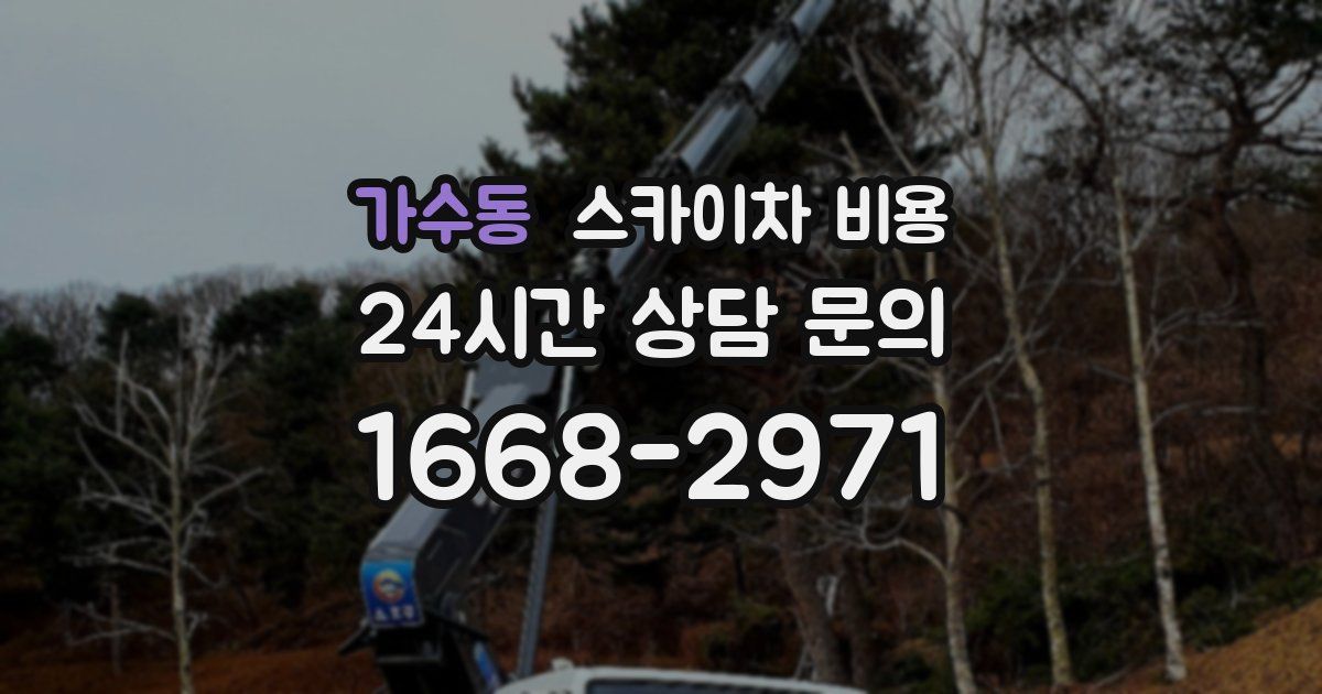 가수동 스카이차 비용