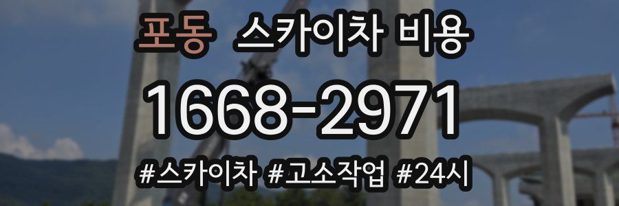 포동 스카이차 비용