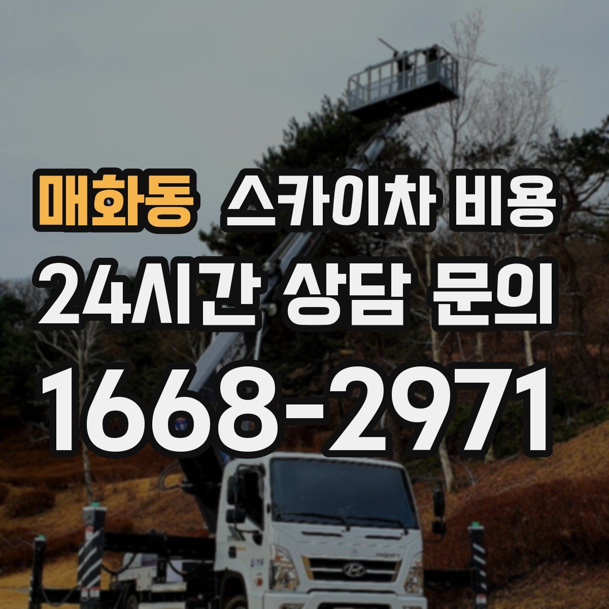 매화동 스카이차 비용