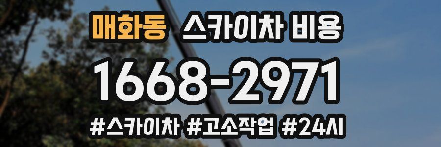 매화동 스카이차 비용