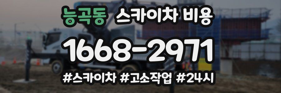 능곡동 스카이차 비용