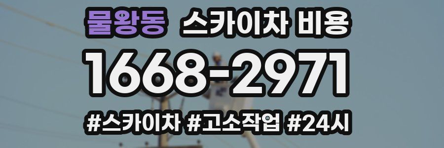 물왕동 스카이차 비용