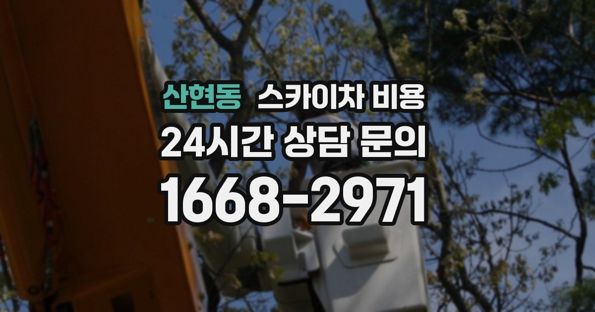 산현동 스카이차 비용