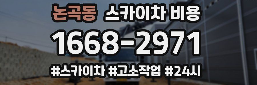 논곡동 스카이차 비용