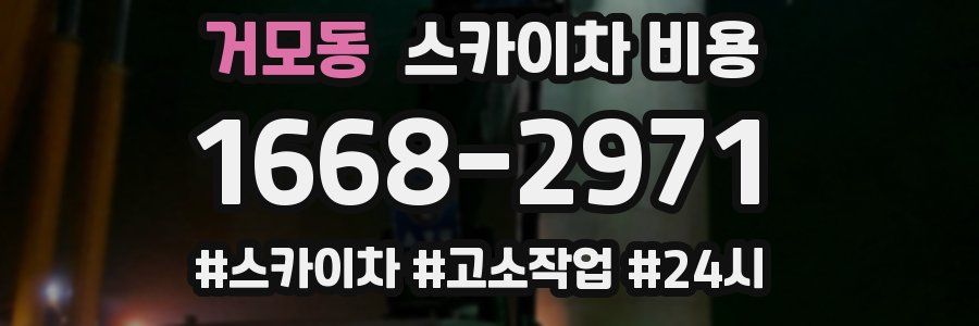 거모동 스카이차 비용