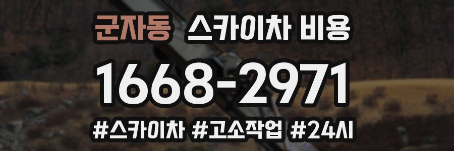 군자동 스카이차 비용