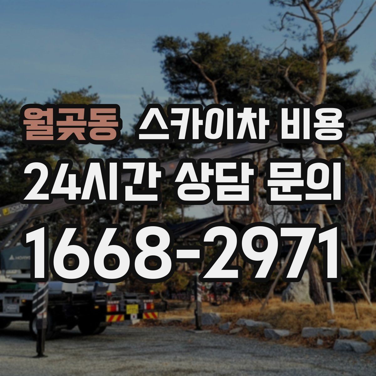 월곶동 스카이차 비용 작업 높이(층수/실제 높이) 측정이 중요한 이유