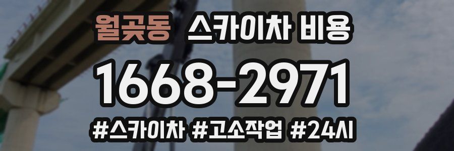 월곶동 스카이차 비용