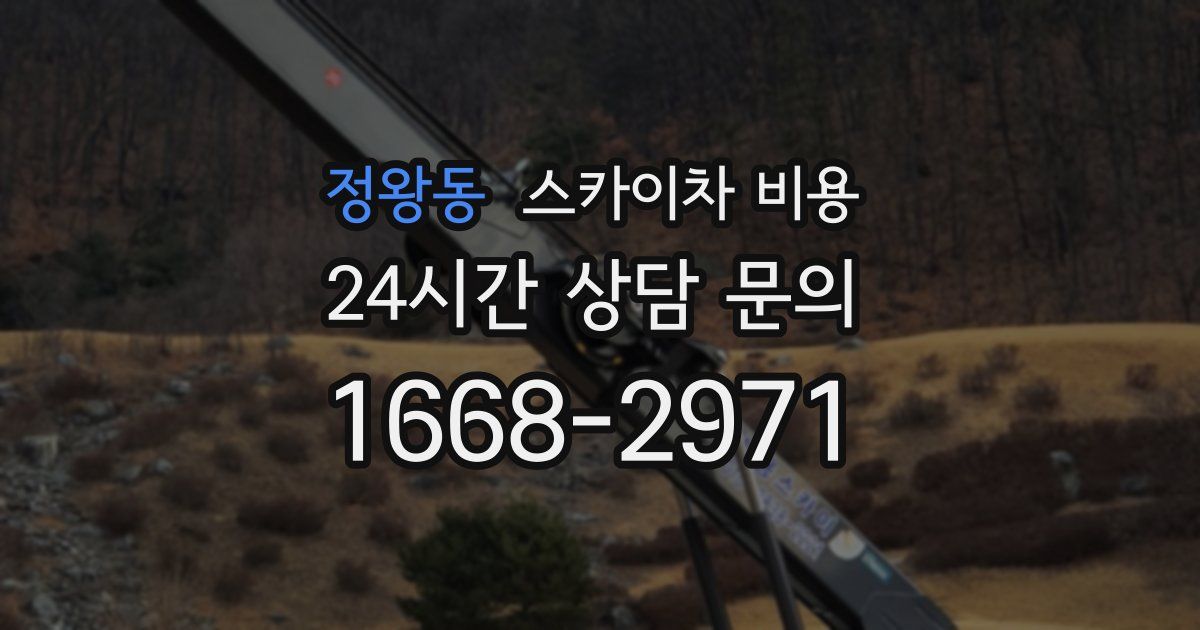 정왕동 스카이차 비용