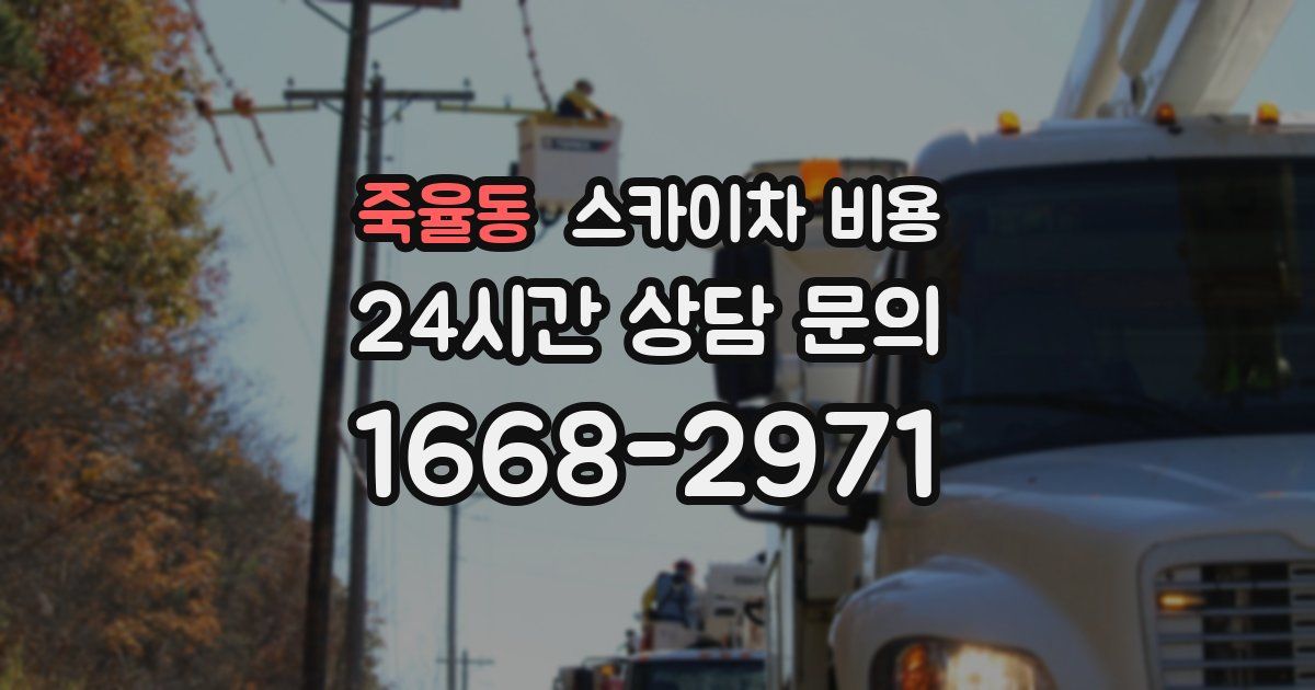 죽율동 스카이차 비용