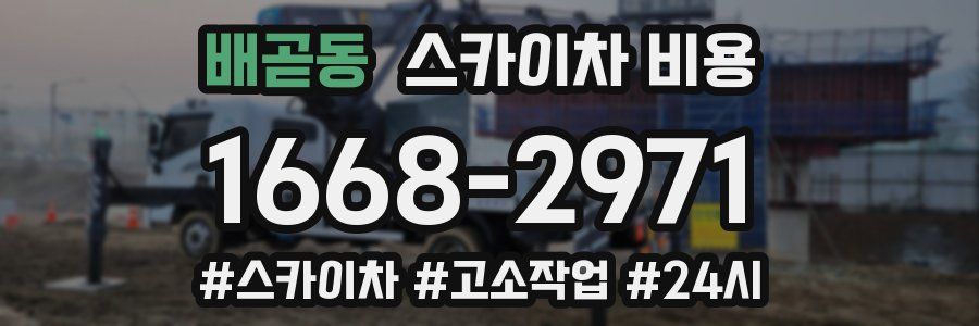 배곧동 스카이차 비용