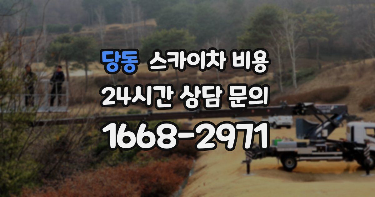 당동 스카이차 비용