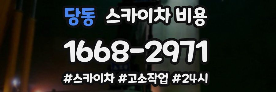 당동 스카이차 비용