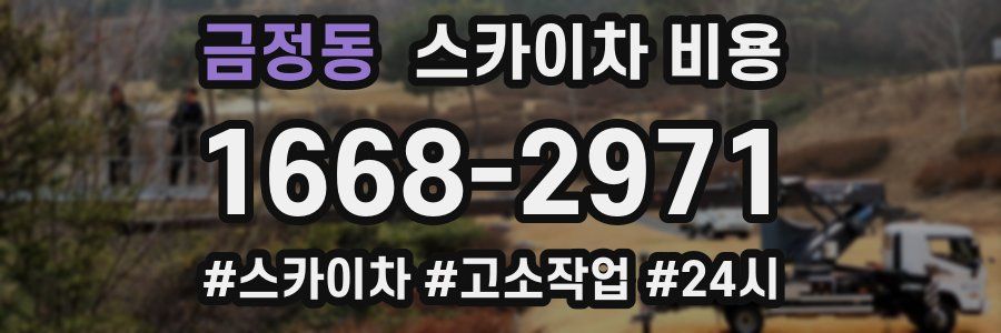 금정동 스카이차 비용