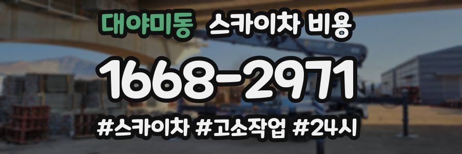 대야미동 스카이차 비용