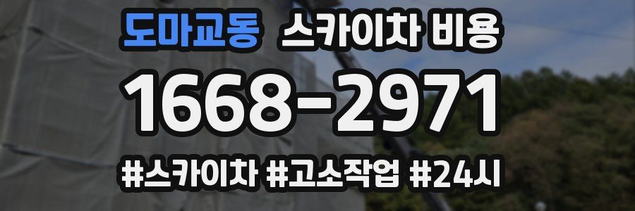 도마교동 스카이차 비용