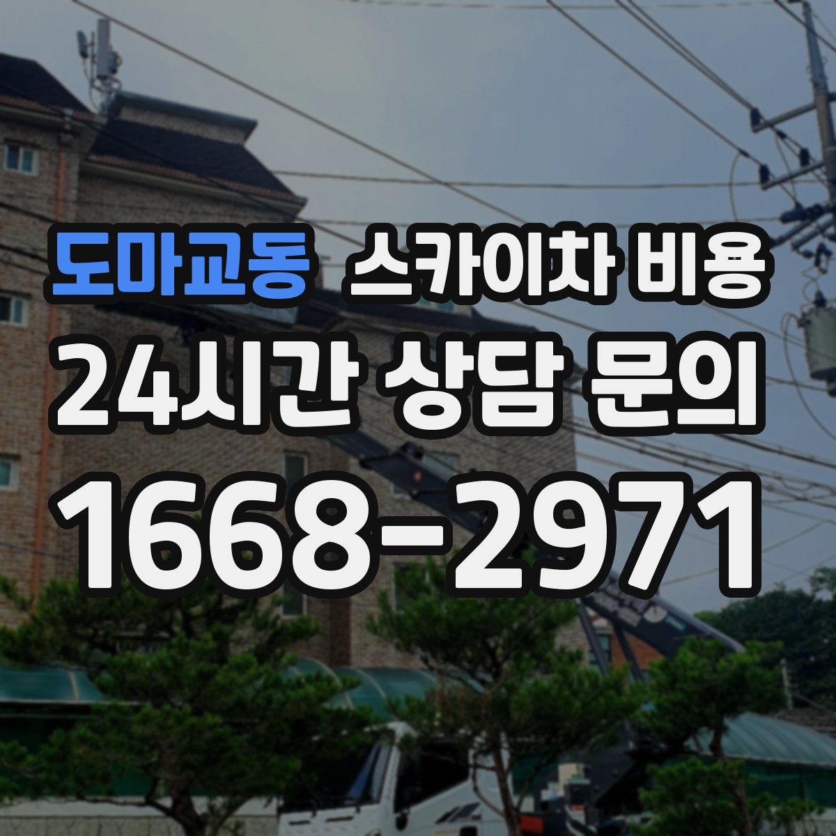 도마교동 스카이차 비용