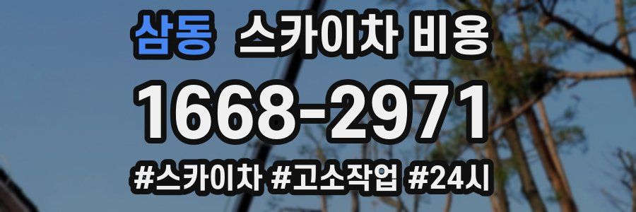 삼동 스카이차 비용