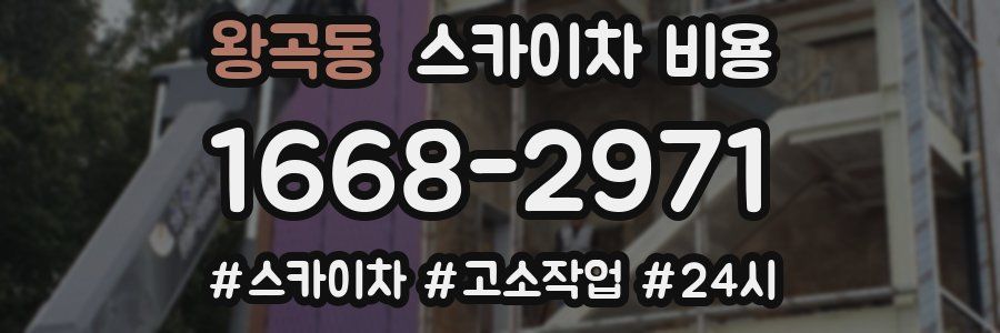 왕곡동 스카이차 비용