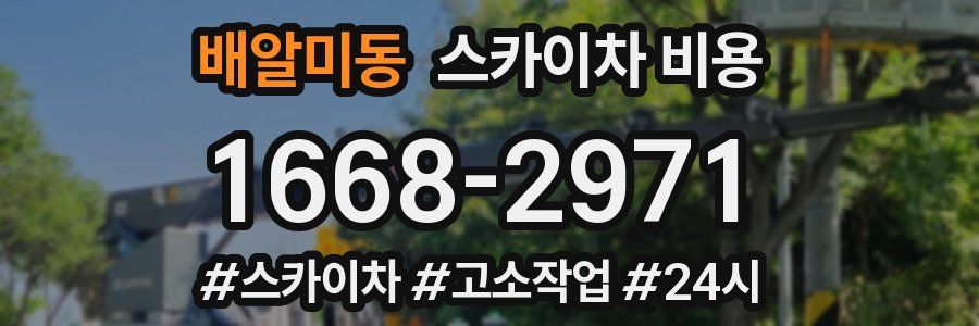 배알미동 스카이차 비용