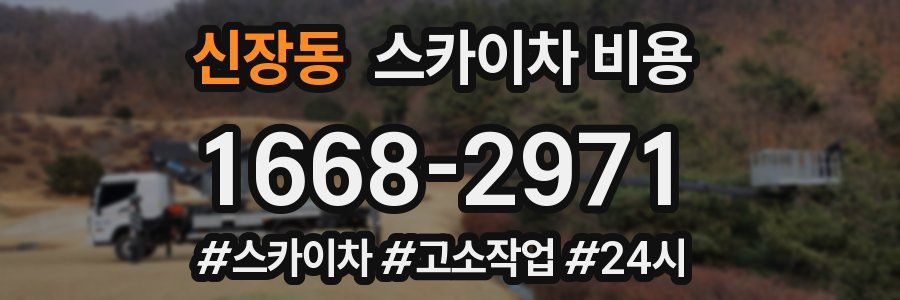 신장동 스카이차 비용