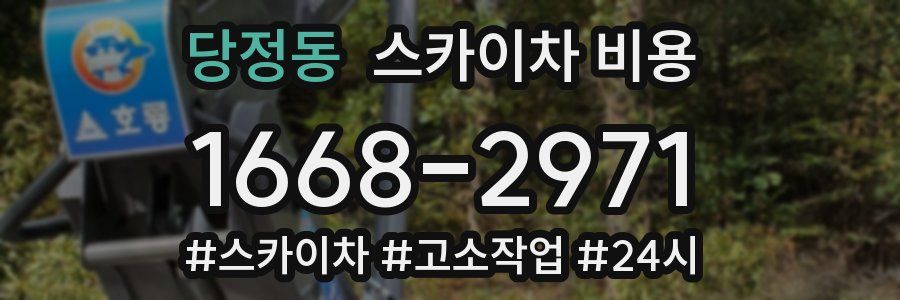 당정동 스카이차 비용