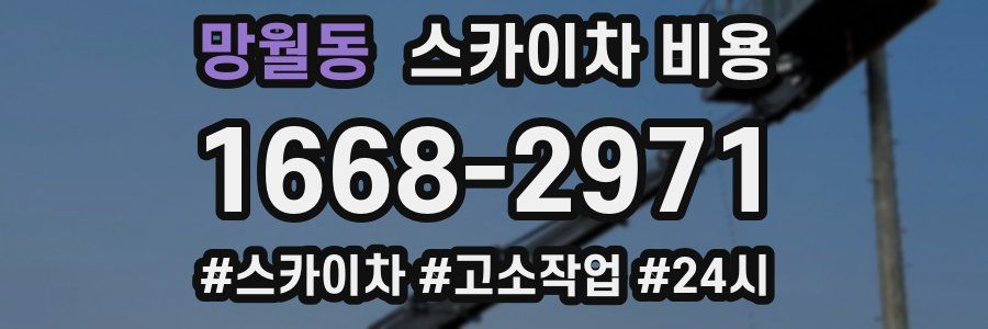 망월동 스카이차 비용