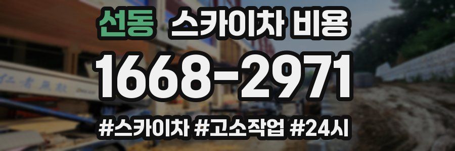 선동 스카이차 비용