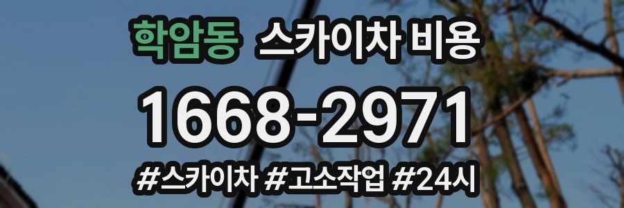 학암동 스카이차 비용