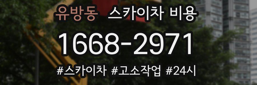 유방동 스카이차 비용