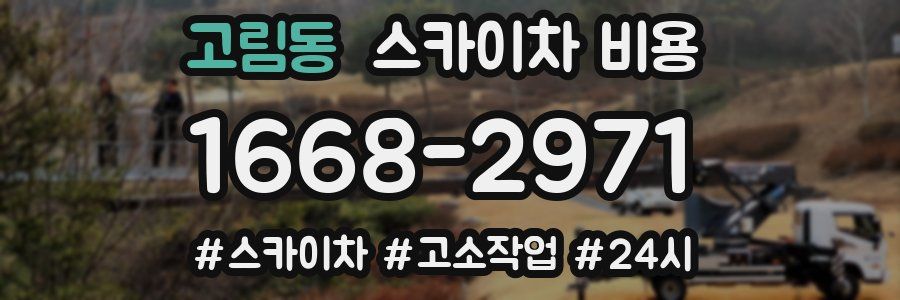 고림동 스카이차 비용