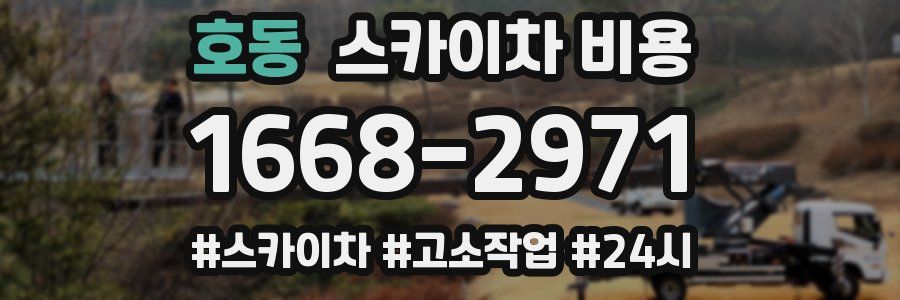 호동 스카이차 비용