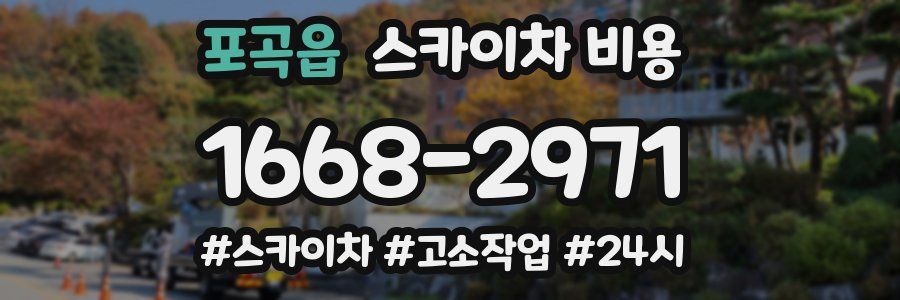 포곡읍 스카이차 비용