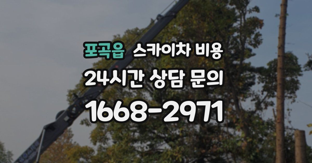 포곡읍 스카이차 비용