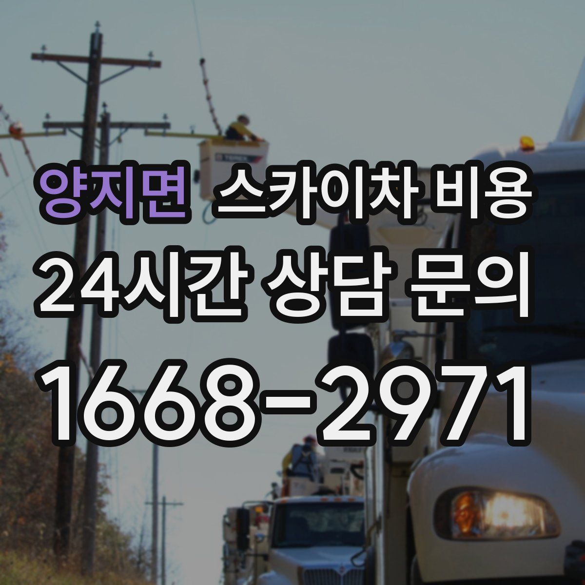 양지면 스카이차 비용