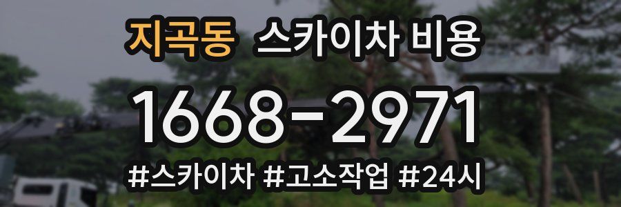 지곡동 스카이차 비용