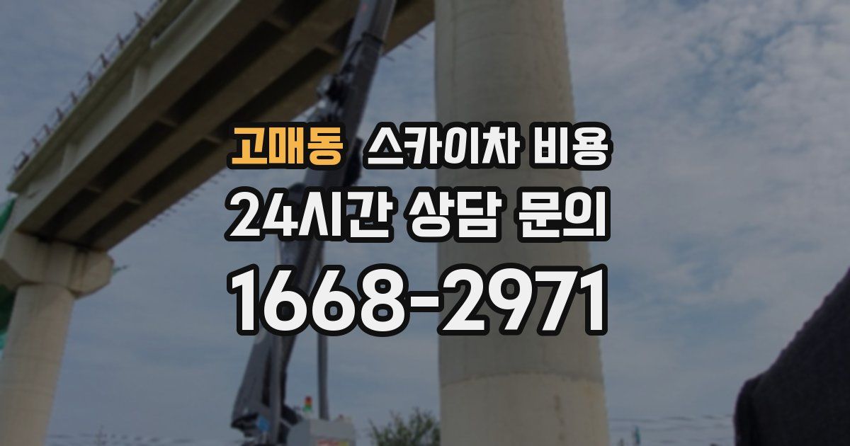고매동 스카이차 비용