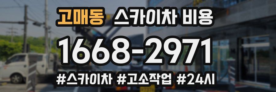 고매동 스카이차 비용