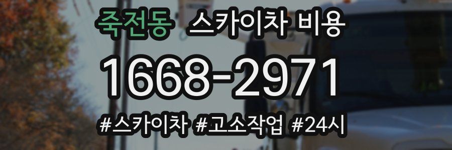 죽전동 스카이차 비용