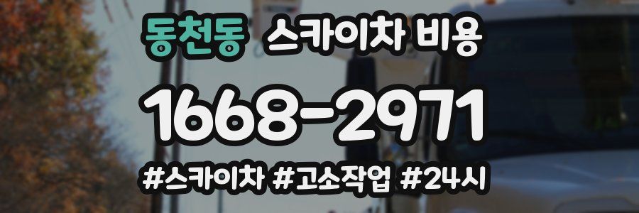 동천동 스카이차 비용