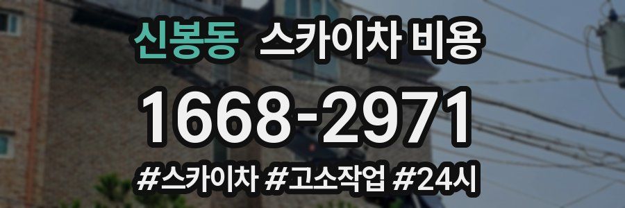 신봉동 스카이차 비용