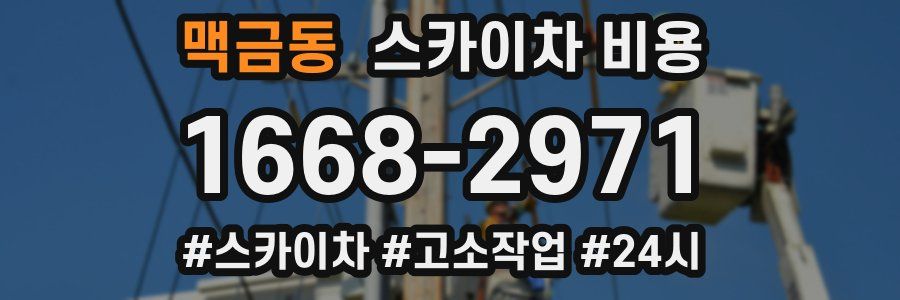 맥금동 스카이차 비용